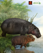 Pygmy Hippo Hippopotamus and Calf Wildlife Toy Model Figures by CollectA New