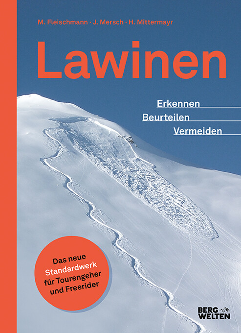 Thumbnail - Jan Mersch; Markus Fleischmann; Helmut Mittermayer / Lawinen