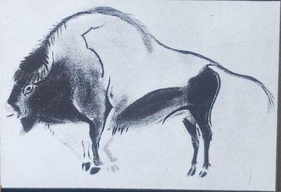 Bison, Cave of Font-de-Gaume, Dordogne, France, Magic Lantern Glass Slide