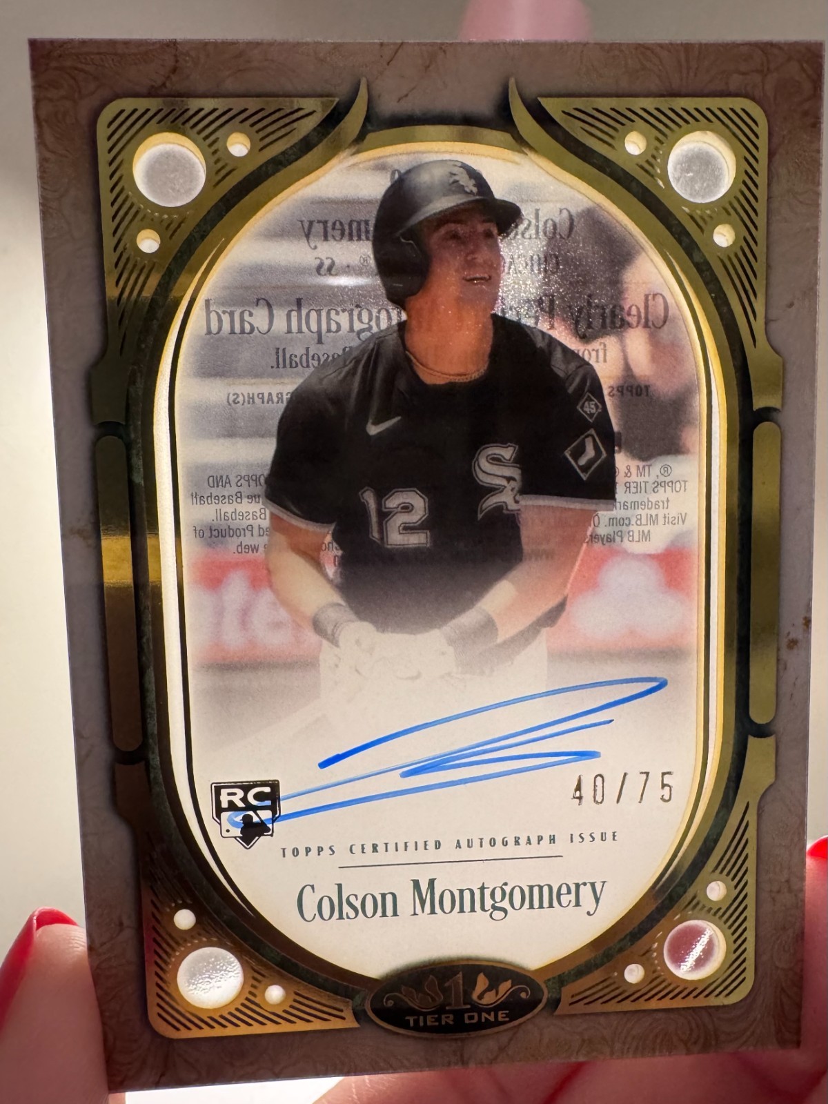 Colson Montgomery Torpedoes His Way To Baseball Card Hot Lists