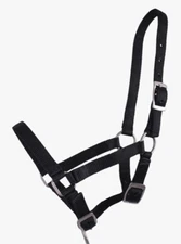 QHP Full foal head collar/halter/headstall QHP