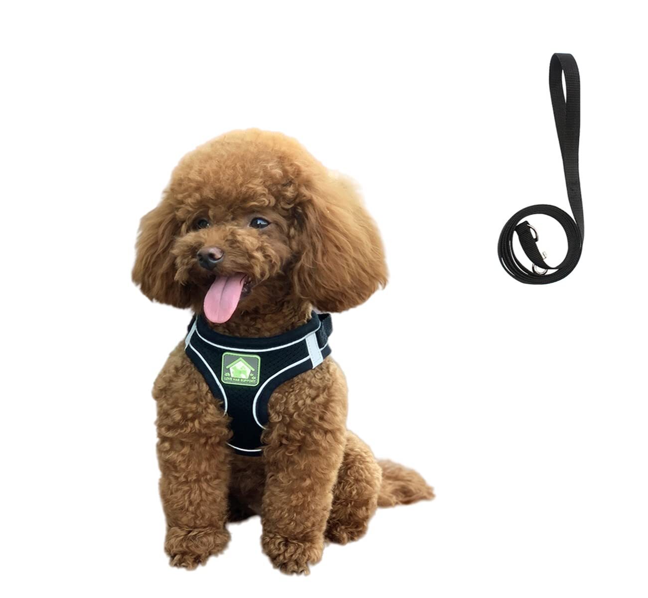 No Pull Small Dog Harness and Leash Set, Puppy and Cat Harness Escape Proof, ...
