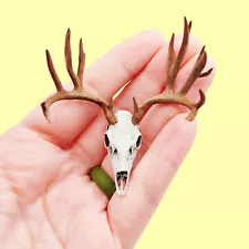 Mule deer skull 1:12 Scale Artisan Diorama Dollhouse Miniature Models 3d printed