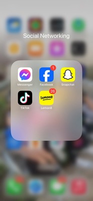 TIKTOK INSTALLED (iPhone 12 Pro )