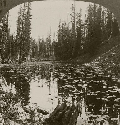 Keystone Stereoview Isa Lake, Yellowstone NP From Scenic America Set #161 DN150