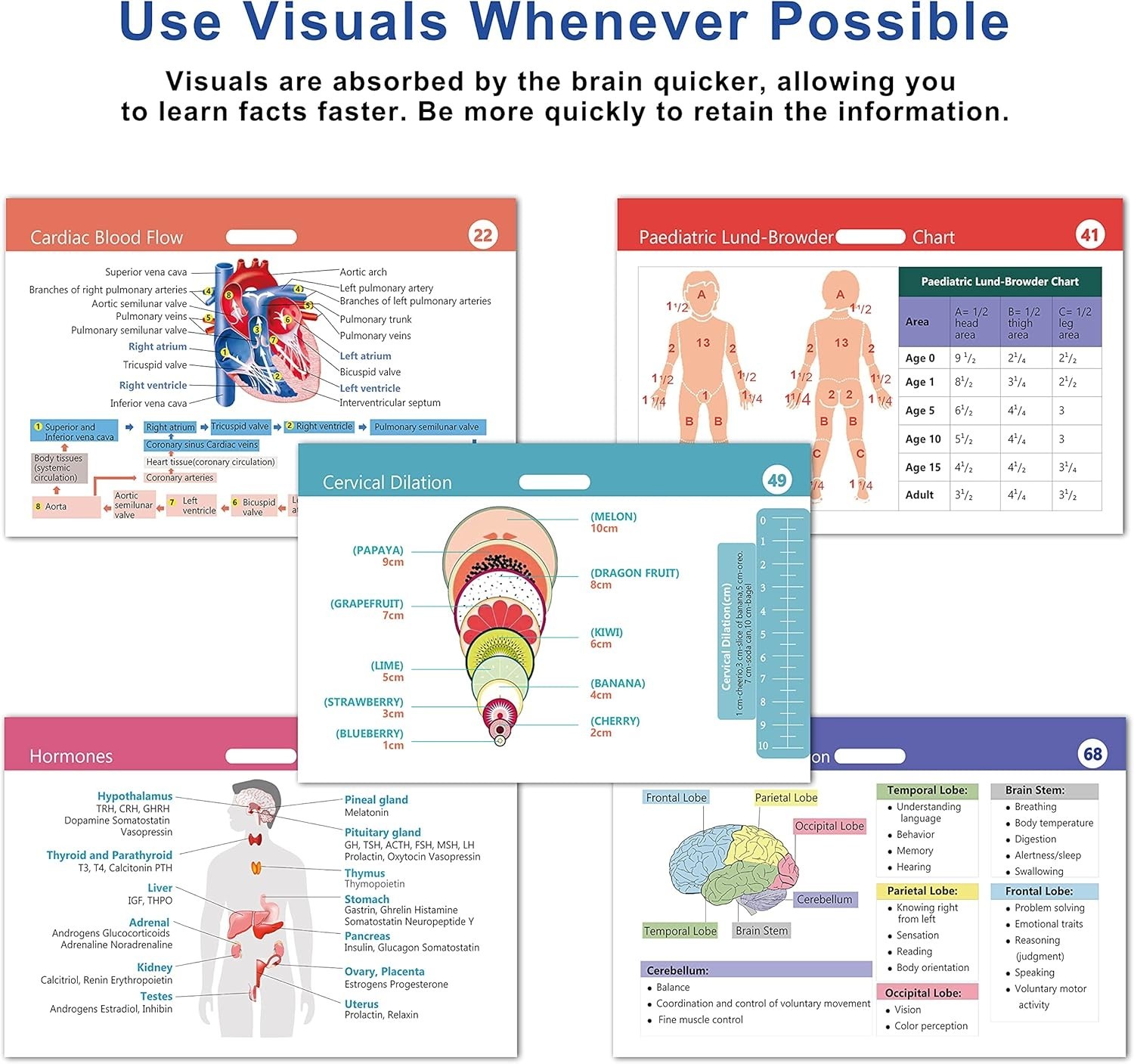 Slide 6