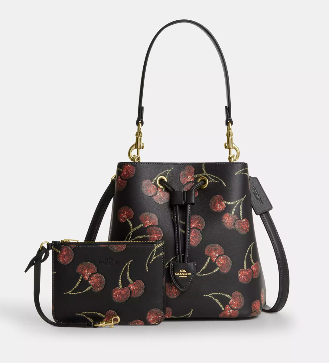 Nwt Coach Rowan Bucket Bag With Cherry Print CCZ17 🍒 | eBay