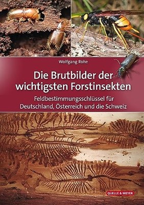 Wolfgang Rohe Die Brutbilder der wichtigsten Forstinsekt (Paperback) (UK IMPORT)