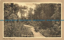 R646786 Q. Blackall Range. Postcard