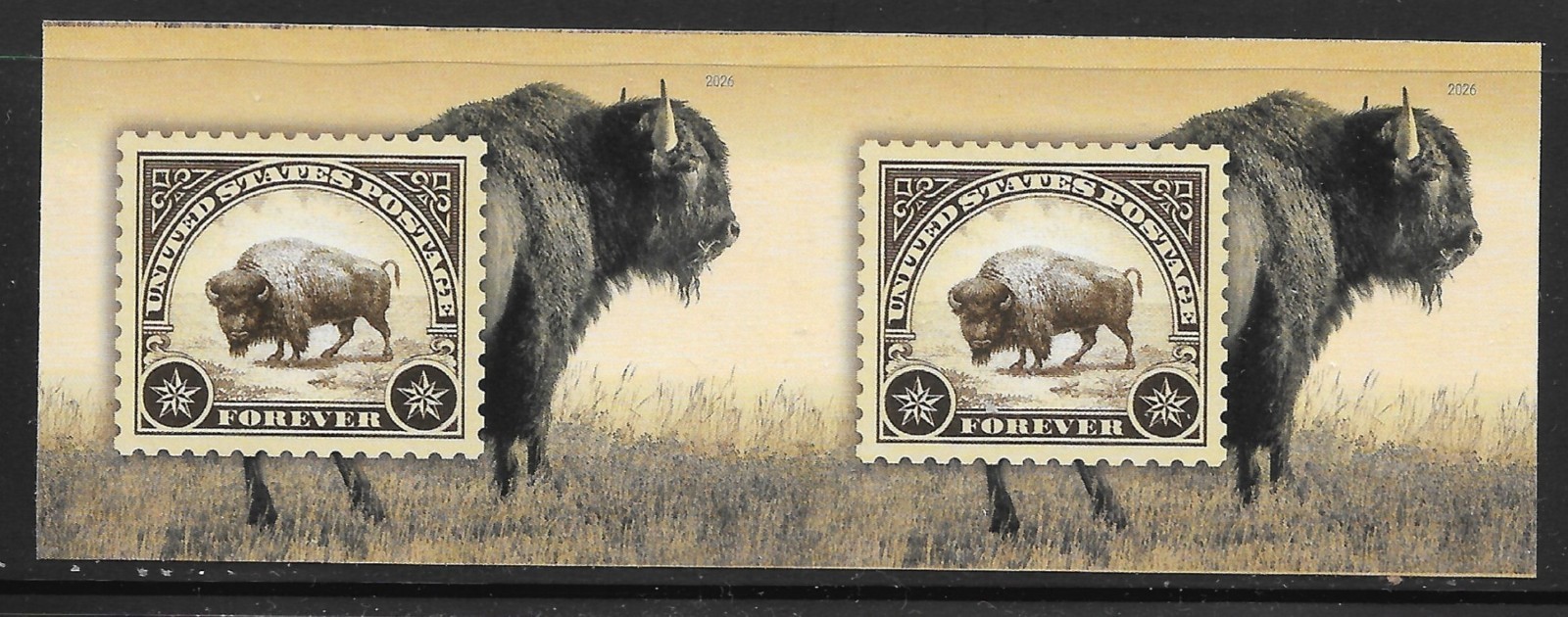 2026 IMPERFORATE (NO DIE-CUT) American Bison Horizontal Pair, MNH