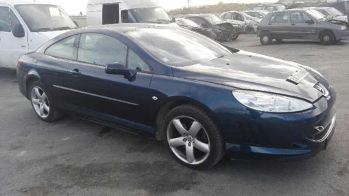 9660384980 Pantalla Multifuncion para PEUGEOT 407 COUPÉ Pack 2006 449445 - Imagen 9 de 10