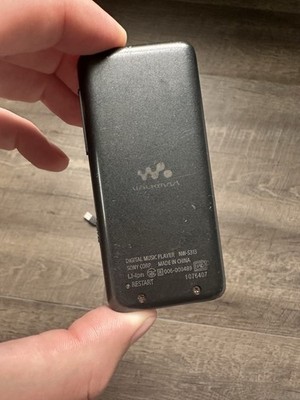 Sony Walkman NW-S313 Digital Media MP3 Player 4GB Japanese