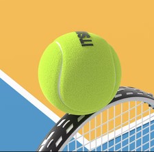 Palline Tennis / Palla Tennis 6pz / Sacca Inclusa