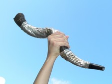 LION of JUDAH 28" SILVER Plated SHOFAR Blow the Trumpet in Zion Jerusalem Israel