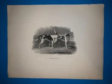 Black and White steel engraving 1890 antique print- delia and lucy dogs