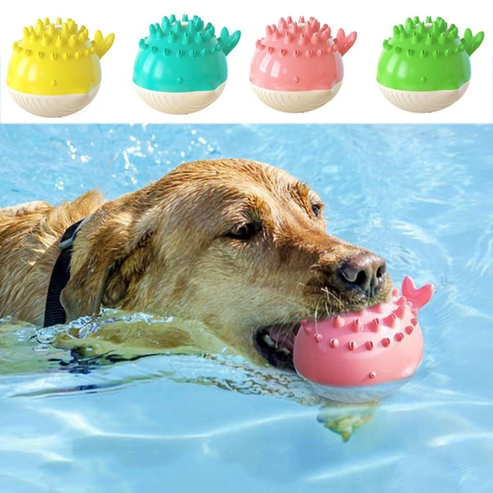 Dog pool toys deals
