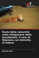 Patrick Zulu | Ruolo Della Comunità Nella Mitigazione Delle Inondazioni: Il...