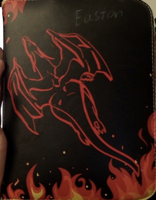 Pokemon binder with 350 cards INCLUDING 17 JAPANESE EX's, 4 Jumbos, Metal Char.