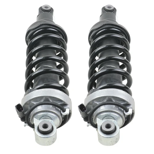 2x Stoßdämpfer Hinten Rechts Links Federbein Für Audi R8 R8 Spyder AWD FWD 07-15 - Picture 3 of 8