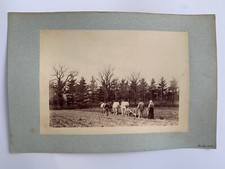 PHOTO ALBUMINE LABOURAGE A LA CHARRUE A LA HIMBAUDIERE G6718