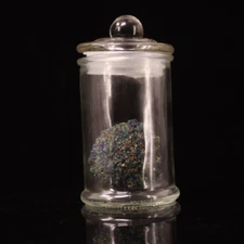 Ancient Temples Buddhist Rebirth Treasures Sariputra Pagoda Enshrines Relics