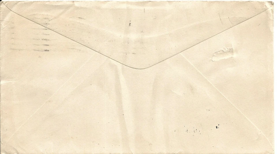  SC# C-11 CAM 19 FIRST FLIGHT AIR MAIL COVER Greenville S.C. to Owego N.Y. - Image 2 of 2