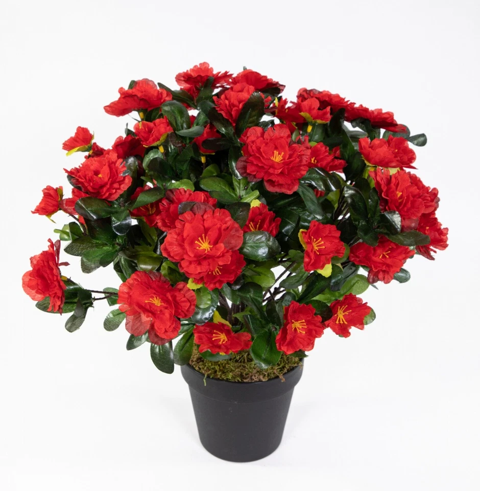 Große Azalee 36cm rot im Topf LA künstliche Blumen Kunstpflanzen Kunstblumen