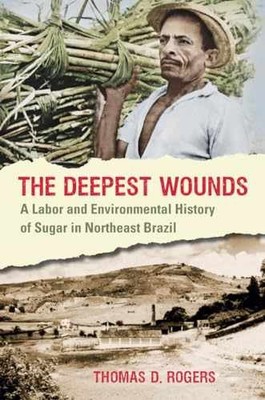 The Deepest Wounds: A Labor and - Paperback, by Rogers Thomas D. - Very Good