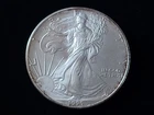 1995 $1 American Eagle 1 oz Fine Silver Brilliant Uncirculated Coin NICE!
