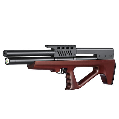 PINTY PCP Pellet Gun Air Rifle .22(5.5 mm)  Caliber 9 Pellet Air Rifle 800 FPS