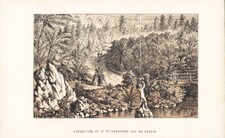 1850 V. Dedon Antique Lithograph Print St Petersburg Botanical Gardens, Russia