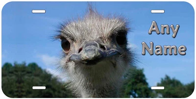 Ostrich Any Name Personalized Novelty Car License Plate - Image 1 of 3