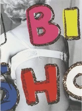 CINDY WORKMAN THE WOMEN First Edition 2009 #154228