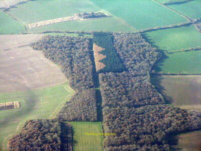 Aerial Photo 12x8 (A4) Patterns in the trees c2017