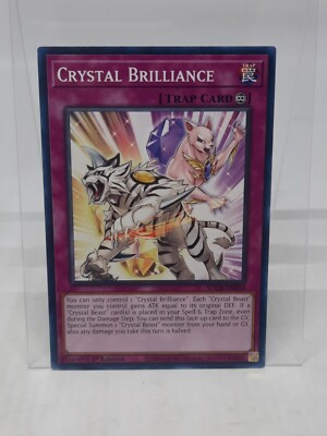 Yu-Gi-Oh ! - Crystal Aegis - SDCB-EN017 - Common - 1ère édition