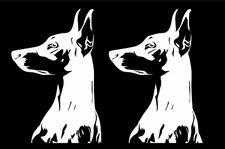 Dobermann Doberman Pinscher Two White Vinyl Decal Car Window Laptop Notebook
