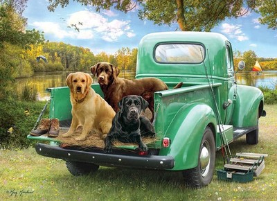 Cobble Hill Jigsaw Puzzle 500 Piece '' Let's Go Fishing ''