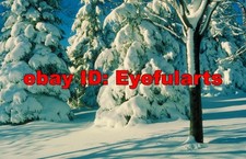 Winter Corel Royalty-Free Stock Photo CD-ROM Disk USB