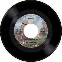 Bar Kays - Open Your Heart - Vinyl - G3Z