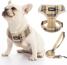 PUPTECK Soft Mesh Dog Harness &Leash Set Pet Puppy Cat Comfort Padded Vest Small