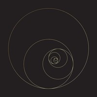 The Ocean (Collective): Phanerozoic Live - 375 Media - (Cd / P)
