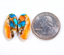 100% Natural Kingman Spiny Oyster Turquoise Pair Oval Cabochon Gemstone BU=139