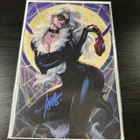 Amazing Spider-Man #1 Artgerm SIGNED VIRGIN Exclusive w/ COA BLACK CAT Stanley