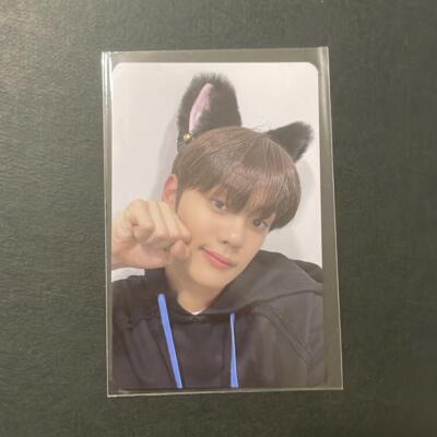 ZB1 ZEROBASEONE YOUTH IN THE SHADE Official Photocard Makestar Cat