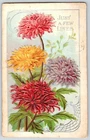 Greetings~Just A Few Lines~Colorful Carnations~PM 1914~Emb~Vintage Postcard