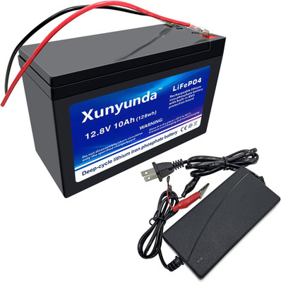 12V 10Ah Lithium Lifepo4 Lithium Battery, 2000+ Deep Cycle with BMS for Solar, P
