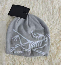 Arc'teryx Bird Head Toque Ash Gray Merino Wool Ski Snow Winter Beanie NWT