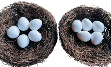 10 uova di pollo nane uova di nido fagiano uova di nido uova di ceramica uova di gesso decorazione 060.022