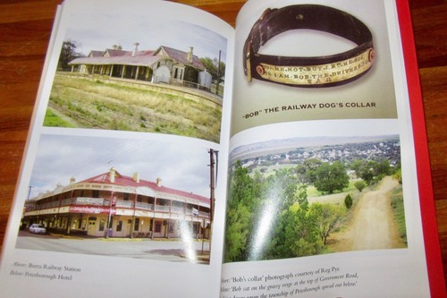 The Railway Dog ~ Olwyn Parker True Story of Austn Outback Dog NEW! HERE in MELB - Bild 12 von 16