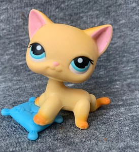 lps brooke